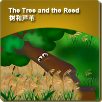37.The Tree and the Reed (树和芦苇)